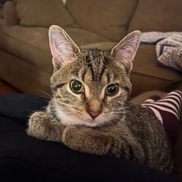 Meet your Posher, Stacey - Picture 6 of 6